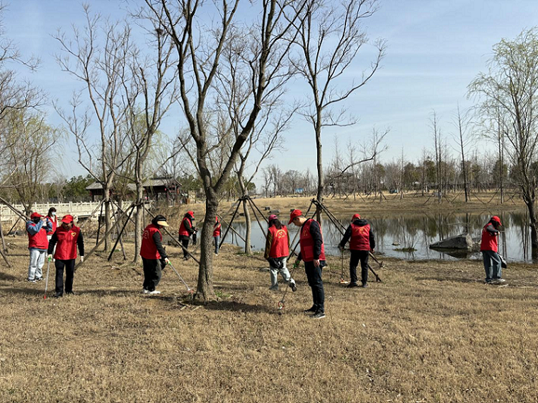 開展雷鋒月志愿服務活動